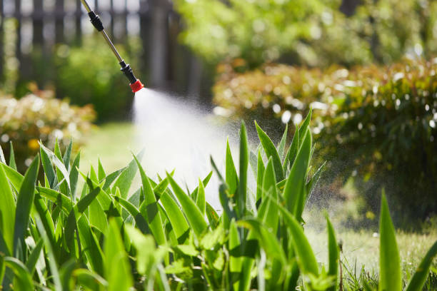 24/7 Emergency Fumigation Services experts in White Plains, NC