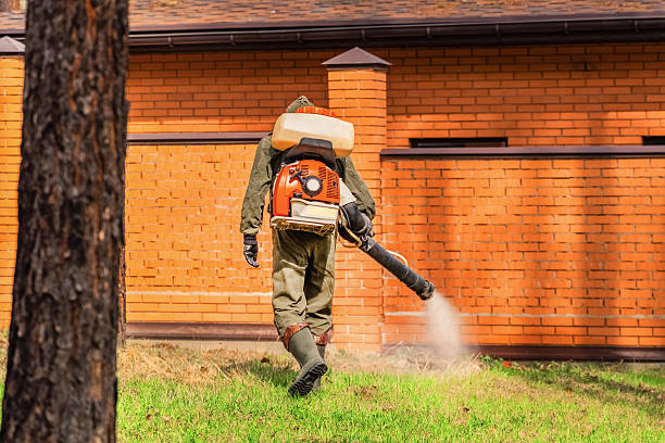 Trusted Termite Control service in White Plains, NC - Nex Pest Control